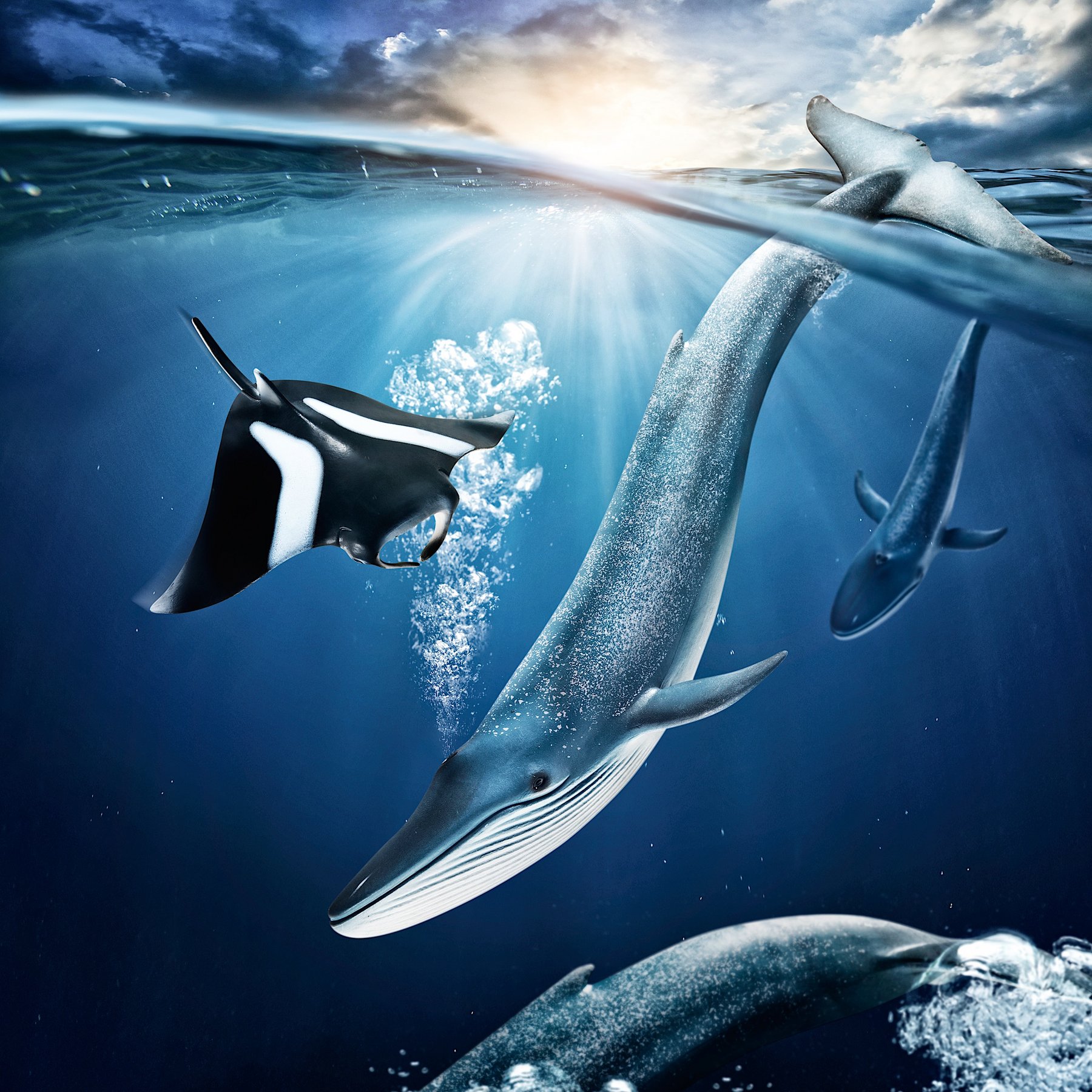 Spielwaren - Product