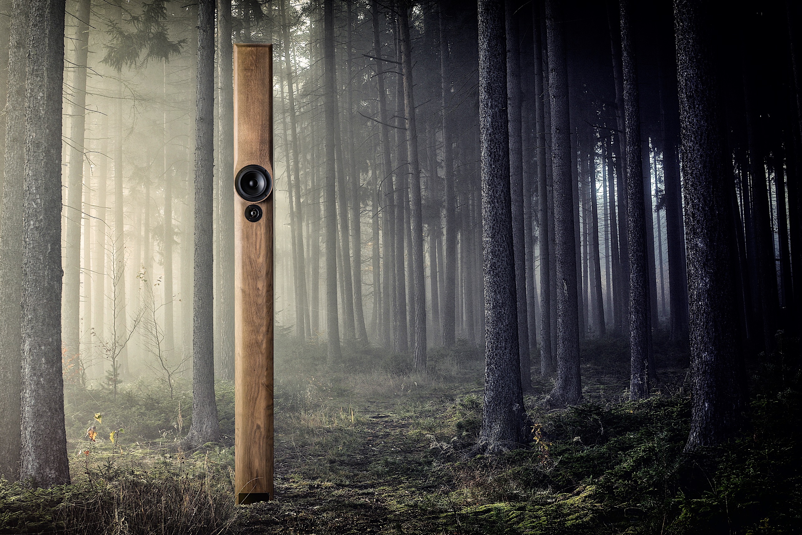 Balance Loudspeaker - Image