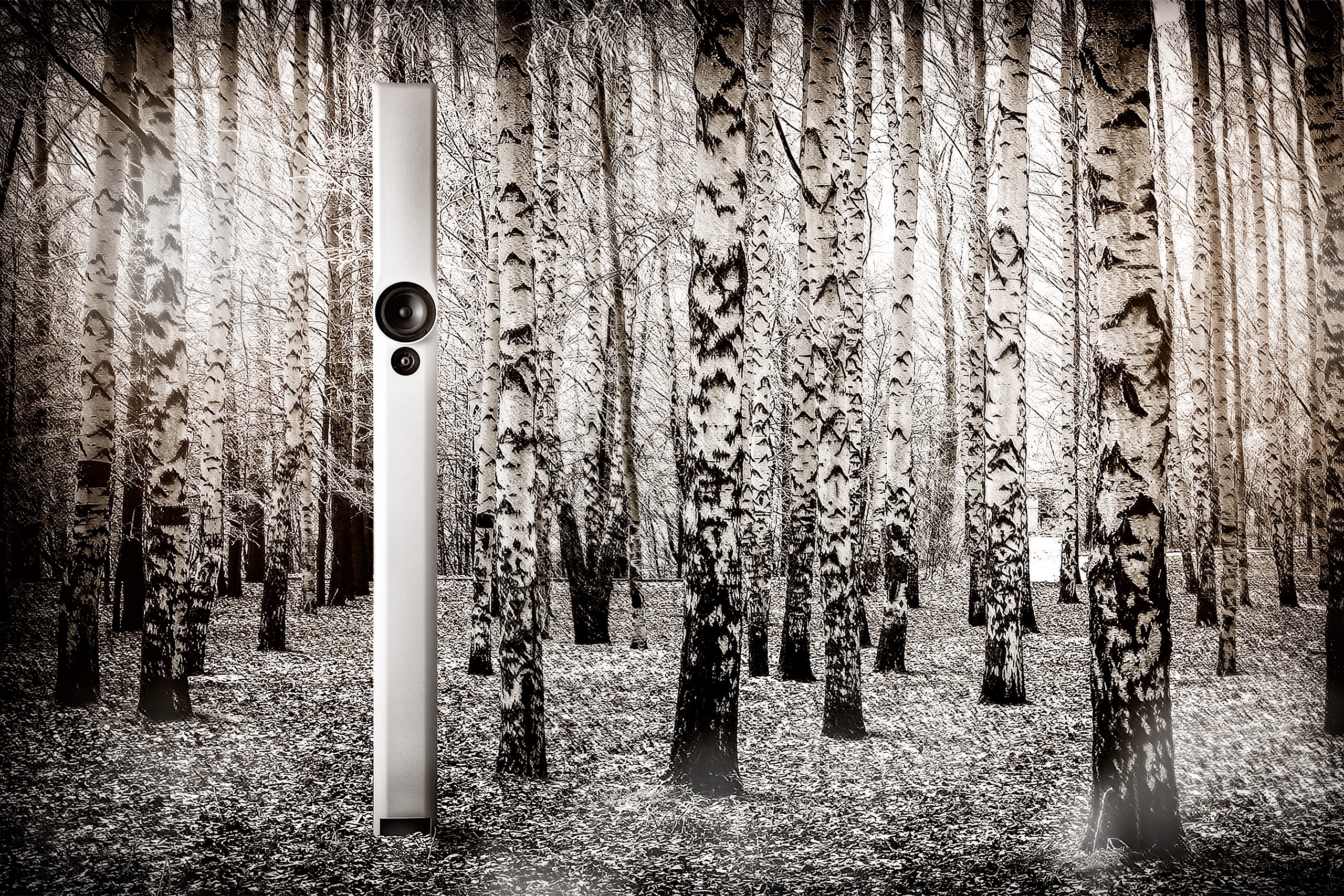 Balance Loudspeaker - Image