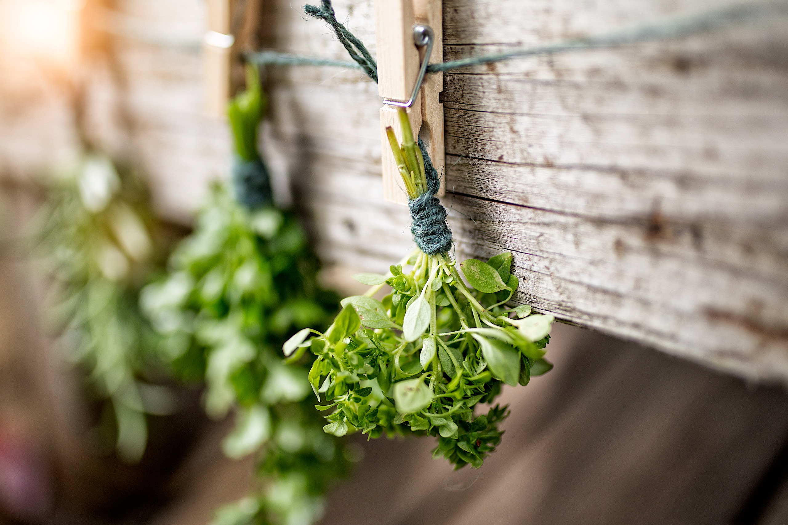 Interspar - Campaign