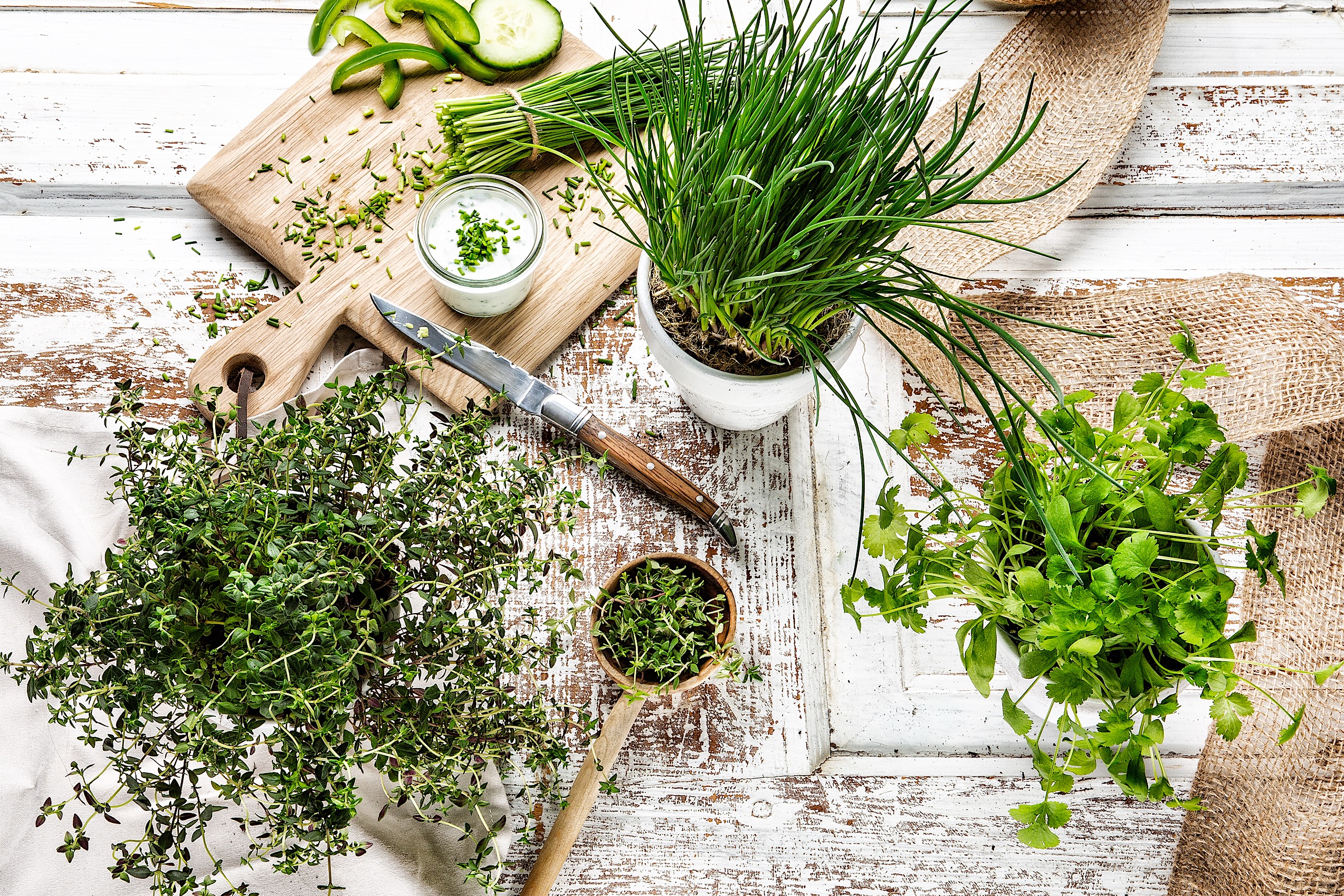 Interspar - Campaign