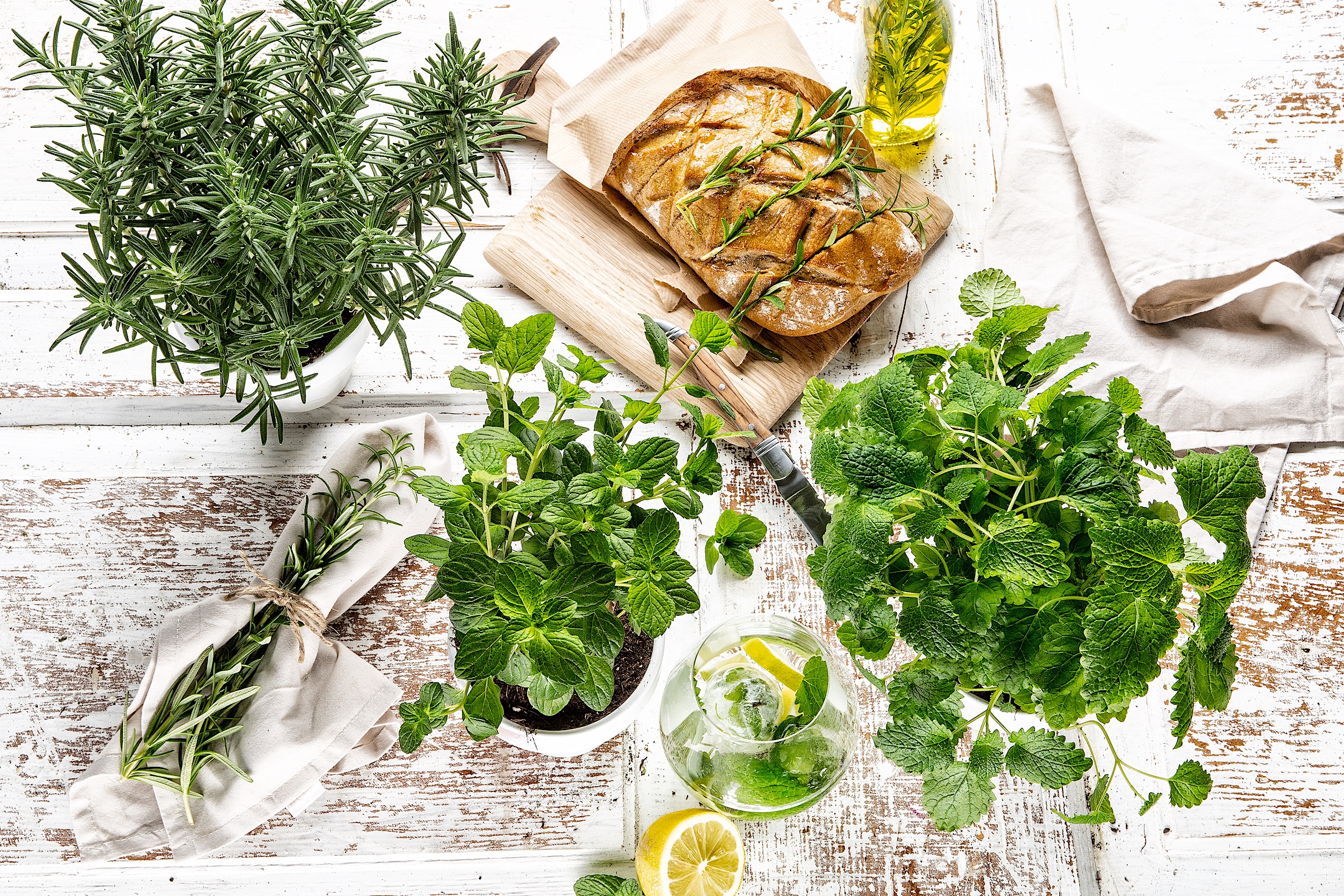 Interspar - Campaign